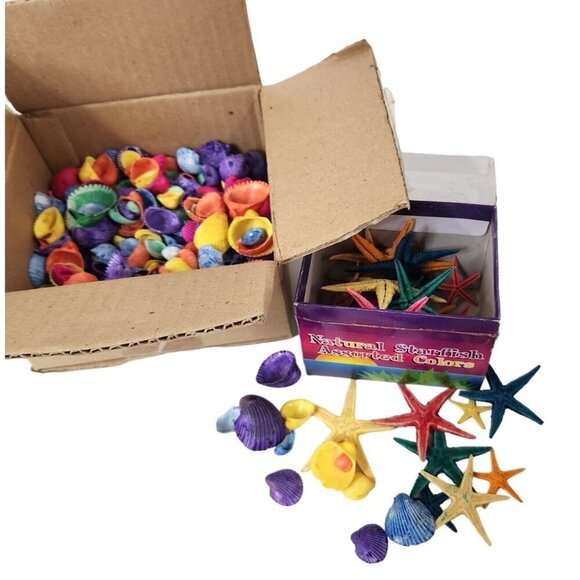 Colorful Assorted Seashells & Starfish Decoration Set - Picture 1 of 5